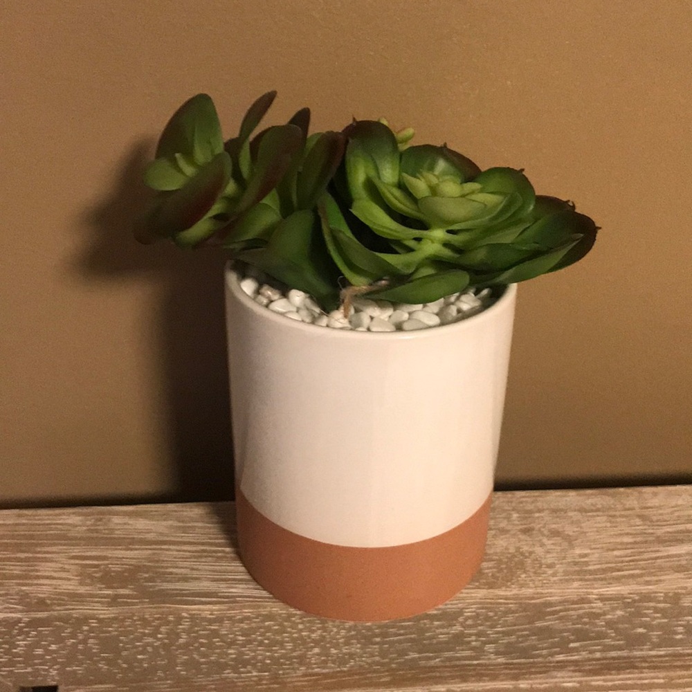 Fake plant
